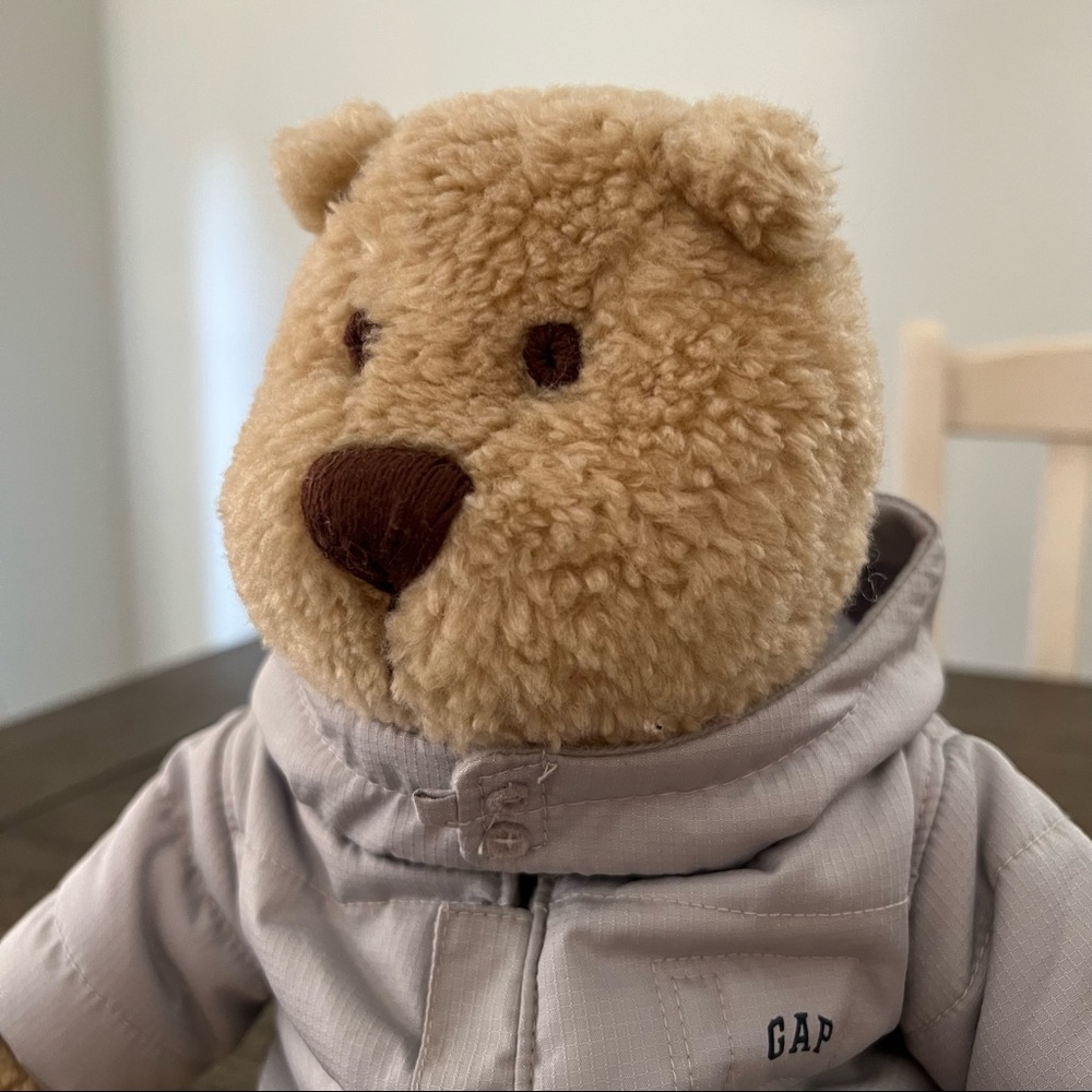 Baby Gap Brannan Baby Bear Winter Jacket Limited Edition - Picture 2 of 11